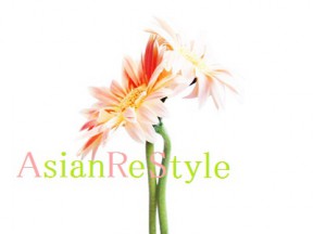 ＡｓｉａｎＲｅＳｔｙｌｅ