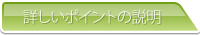 詳しいポイントの説明