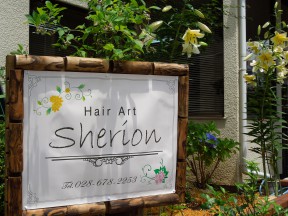 Hair Art Sherion
