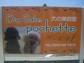 Dog salon Pochette