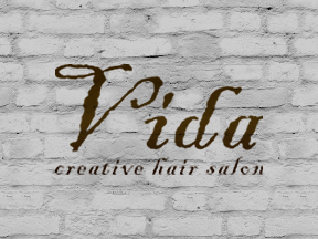 Vida creative hair salon